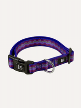 Dog Collar - Tropical Bloom Rush